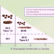 Síndrome do Intestino Irritável: Compreendendo os Sintomas e as Classificações