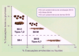 Síndrome do Intestino Irritável: Compreendendo os Sintomas e as Classificações