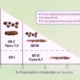 Síndrome do Intestino Irritável: Compreendendo os Sintomas e as Classificações